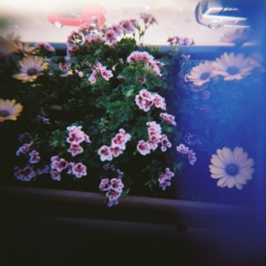 8619210821_946a9cd363_o