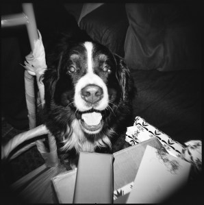 8619223267_2e1761dcdb_o